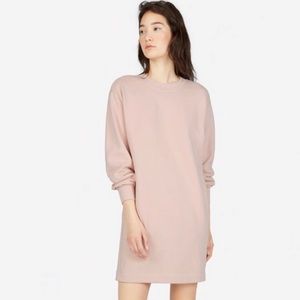 Everlane Blush Shirt Dress